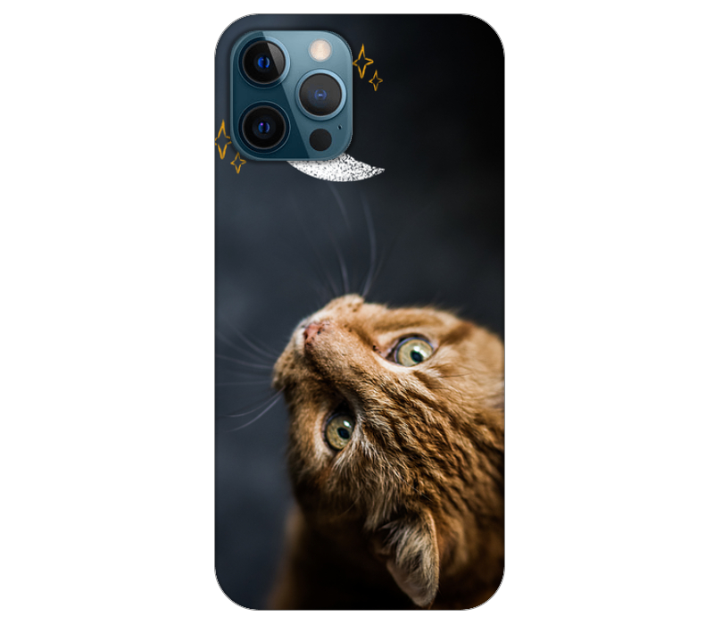 Gato
